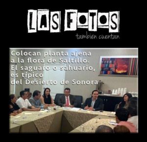 31052019sonorense