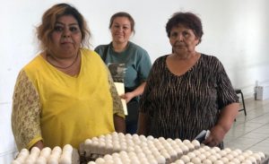 28062019apoyos
