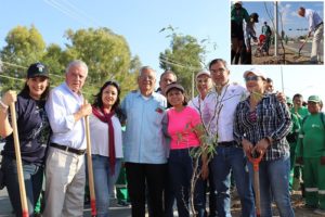 14072019reforestacion