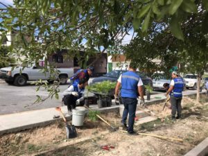 15072019lobosrescate