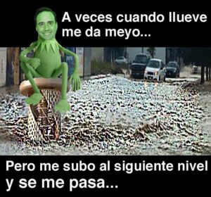 08082019meyo