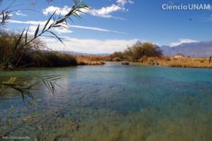 23082019cienegas