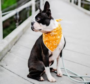 17112019worldchucho (2)