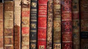 21112019libros