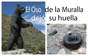 28112019osos