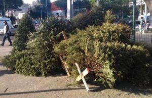 12012020medioambiente