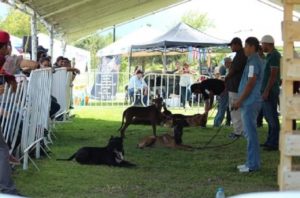 25012020mqcotas