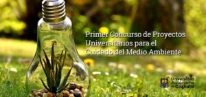 03042020ambiente