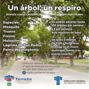 05052020arboles