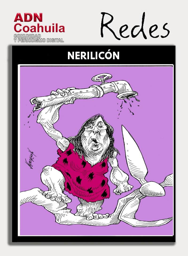 15052020nerilicon