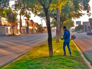 08082020areasverdes