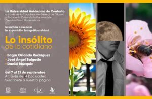 09092020insolito00