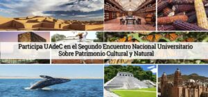 11092020patrimonio