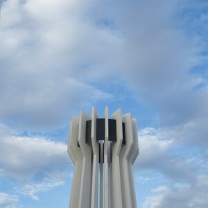 26092020torreon