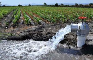 07102020agua00a