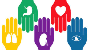 28102020donacion00
