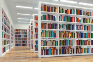 10022021bibliotecas00
