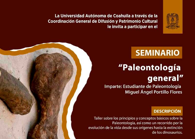 25022021paleotologia00