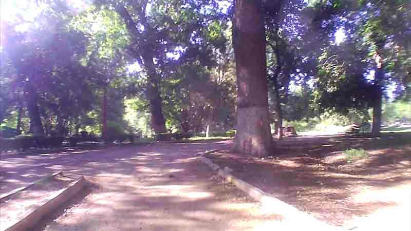 28022021paraiso00