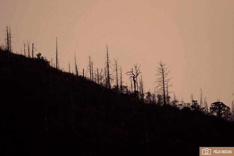 26032021incendios00