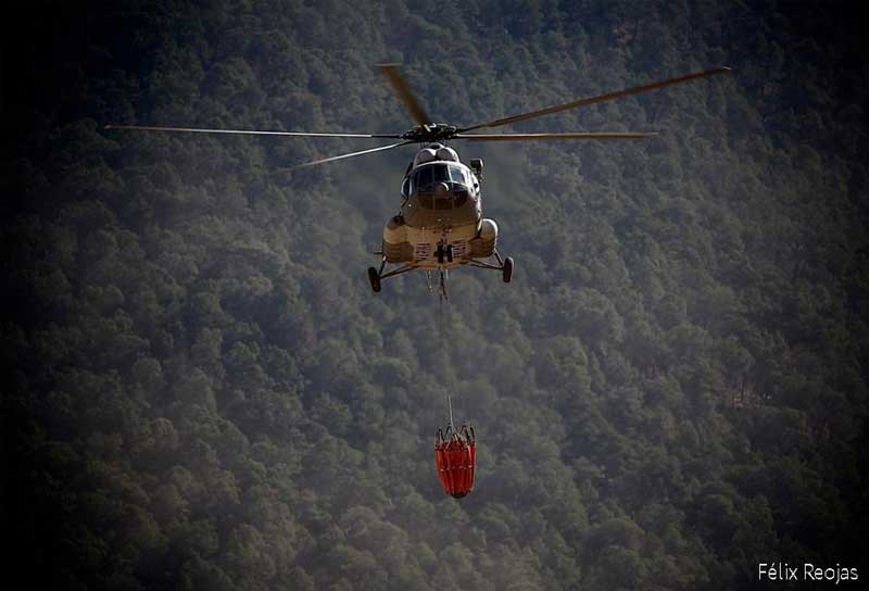 31032021brigadista00