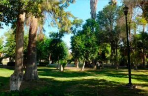 14042021bosque00