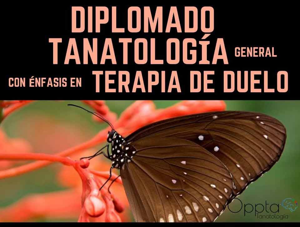 15052021tanatologia00