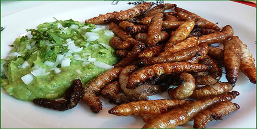 comida-rara1