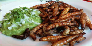 comida-rara1