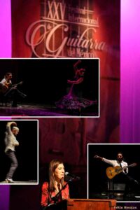 12092021guitarras00