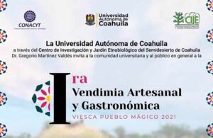 20102021vendimiaviesca00