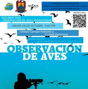 29102021aves00