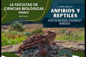 08122021anfiniosyreptiles00