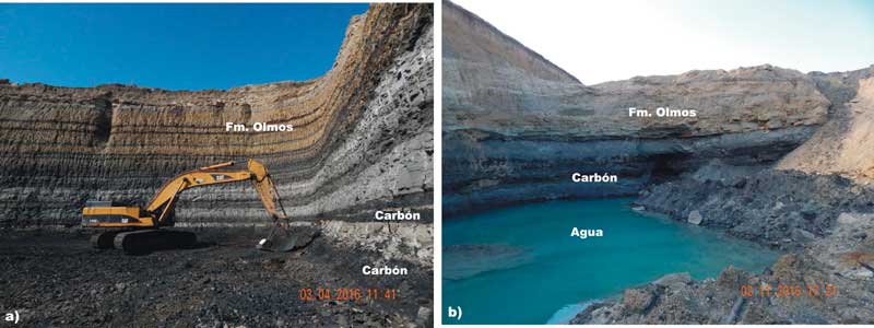 21122021carboninvestigadores00