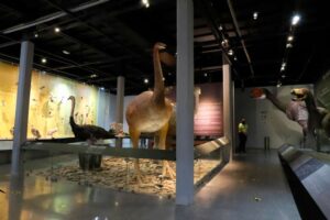 14042022saltilloturistico00