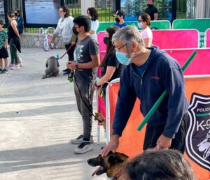 16052022rutarecreativa00