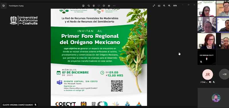 14122022oreganomexicanouadec00