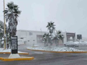 nieve ramos