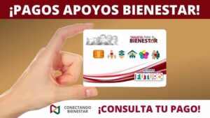 apoyos bienestar