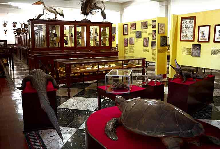 05022023museohistorianatura00l