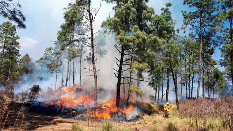 02042023incendiosforestalesarteaga00