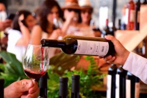 mejores vinos coahuilenses