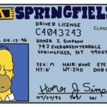 00homerocard00